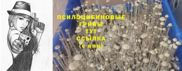 mdma Зеленокумск