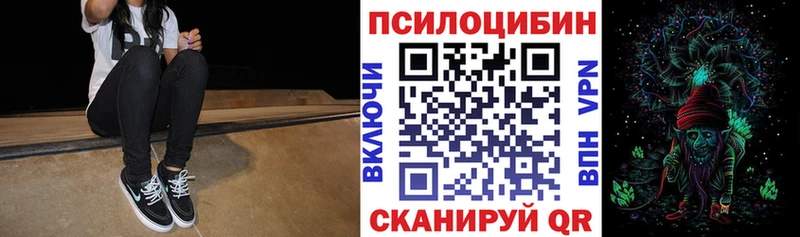 Купить  Коммунар  Псилоцибиновые грибы Psilocybine cubensis 